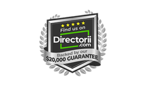 directorii logo
