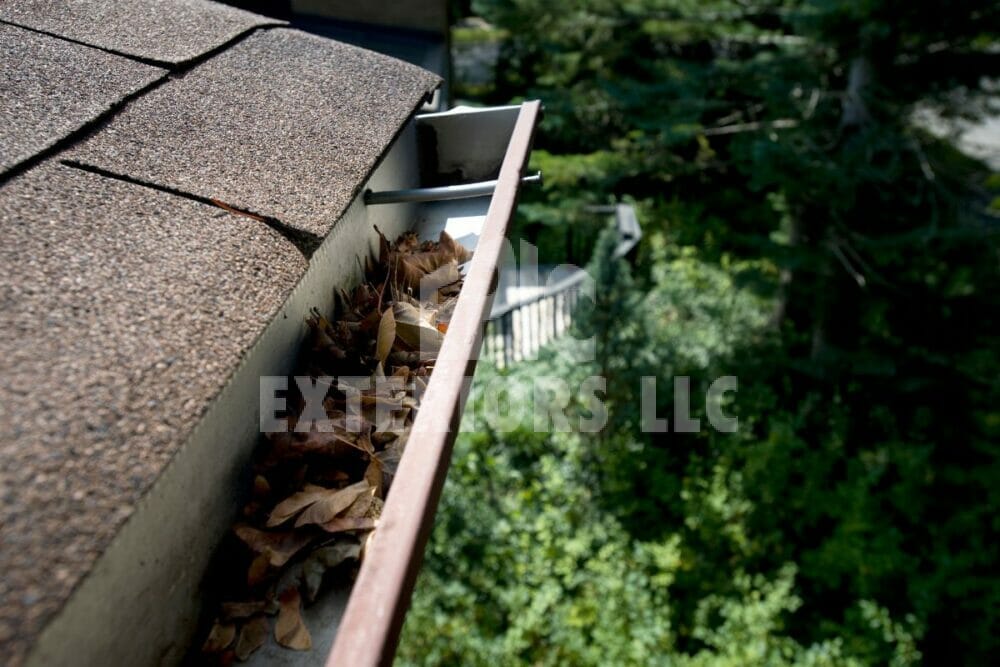 Clogged gutters 